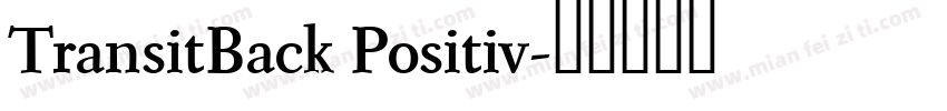 TransitBack Positiv字体转换